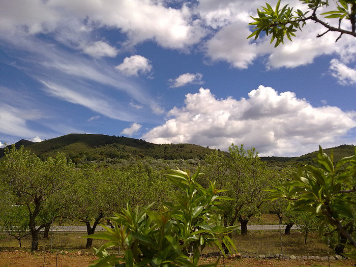 natura - A3 in fuga masini-cer si pamant