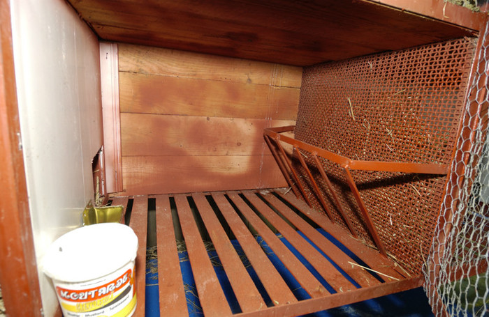 015 - Prototip cusca iepuri