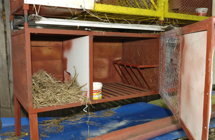 016 - Prototip cusca iepuri