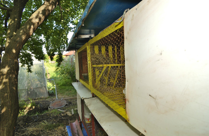 DSC_0200 - Prototip cusca iepuri