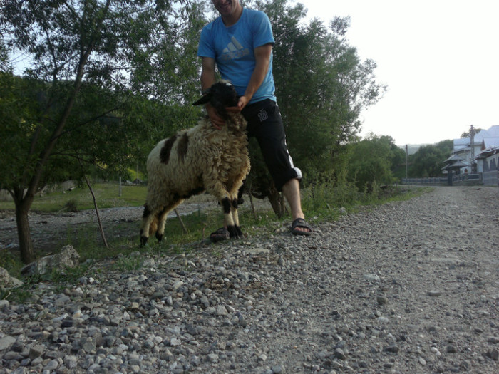 300620121102 - mieii mei 2012