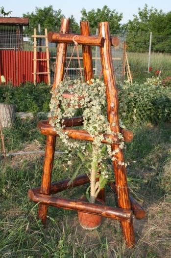 1304515642_195469916_4-Produse-Rustice-De-Vanzare