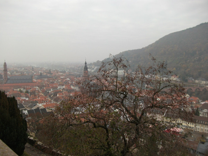 Heidelberg 3 - Cetate Heidelberg