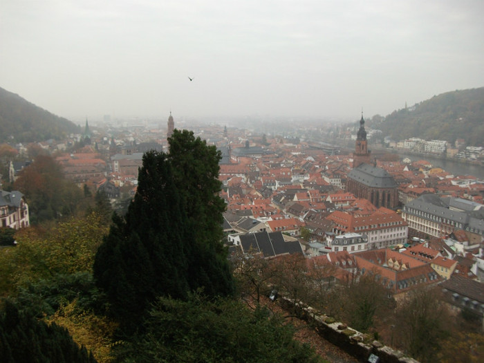Heidelberg 5 - Cetate Heidelberg
