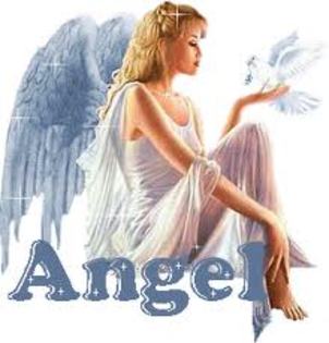 angel6 - Angels