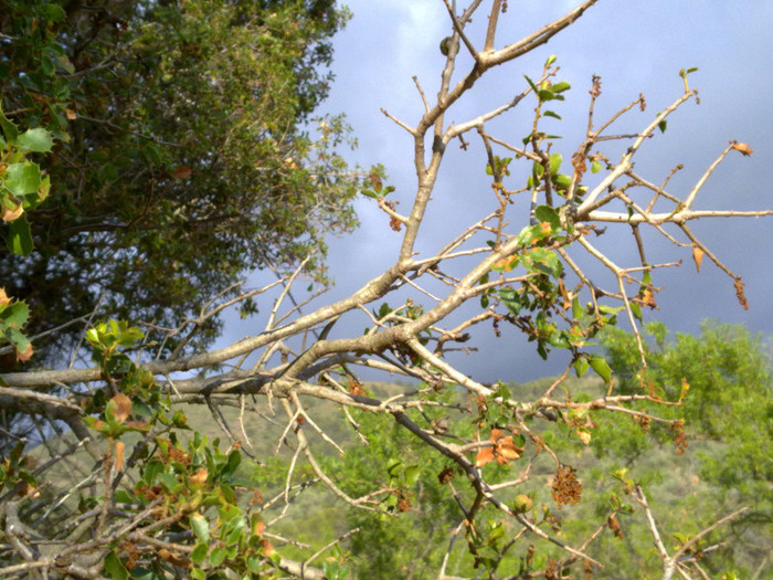 060720122604
