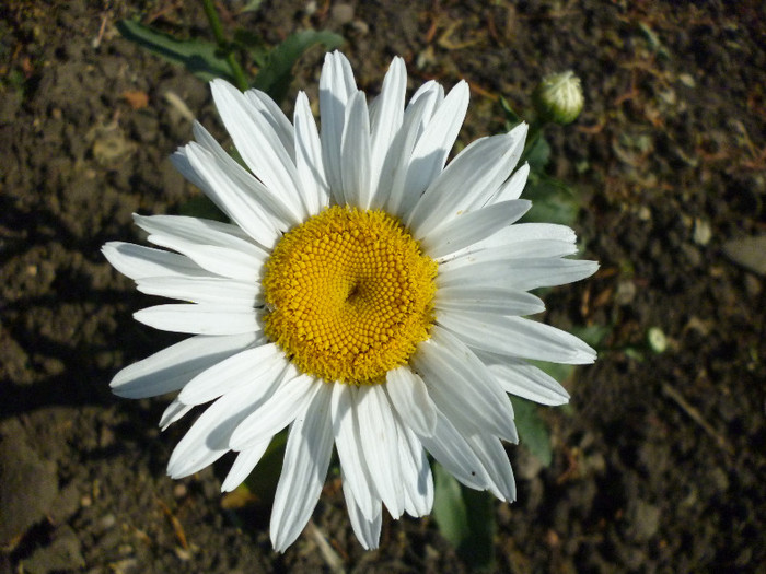 P1000962