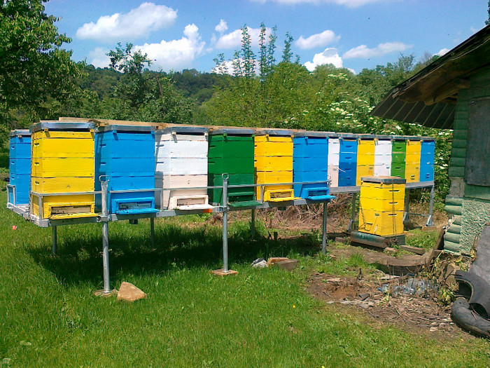 platforma apicola; noul sistem de pastoral conceput din 2012
