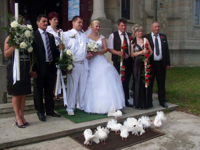 SDC16125 - Porumbei albi pentru nunti