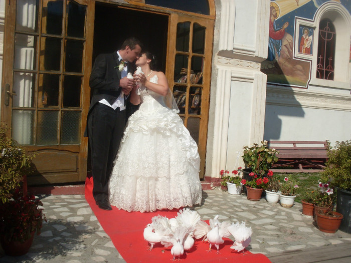 SDC16280 - Porumbei albi pentru nunti
