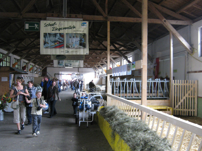 Riedmesse 033 - crescatori de capre -austria ziege farm