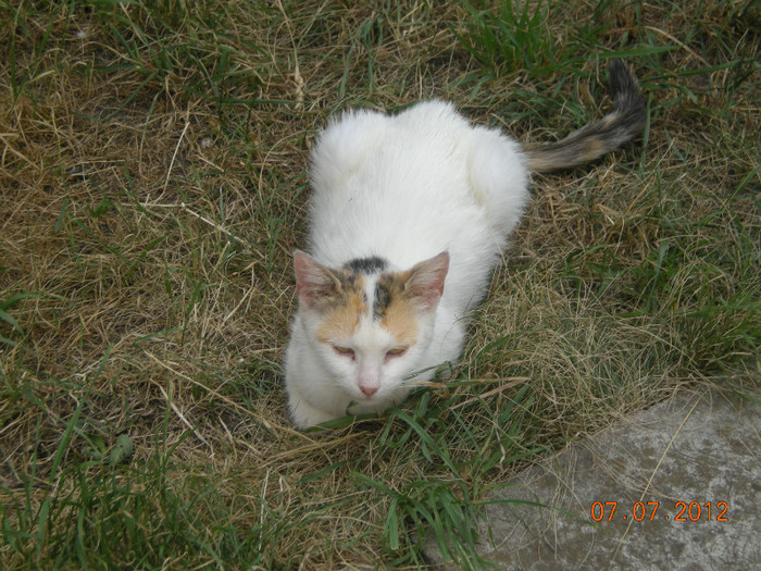 DSCN3830; Am pui de crescut !!!!
