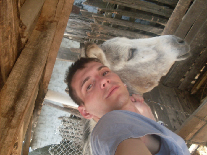 SDC10957 - teliorman