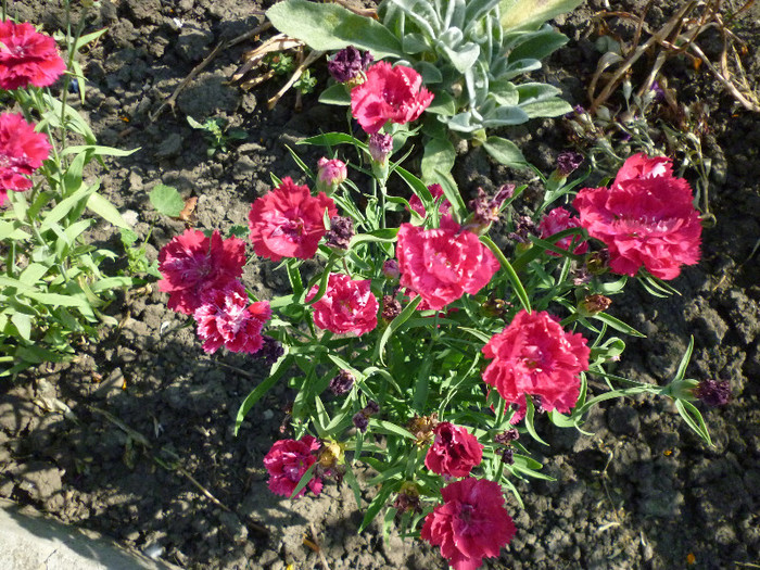 P1000965