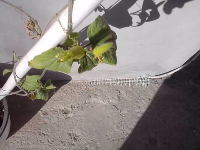 P070712_18.11_[05]