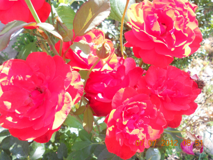 DSCN1602