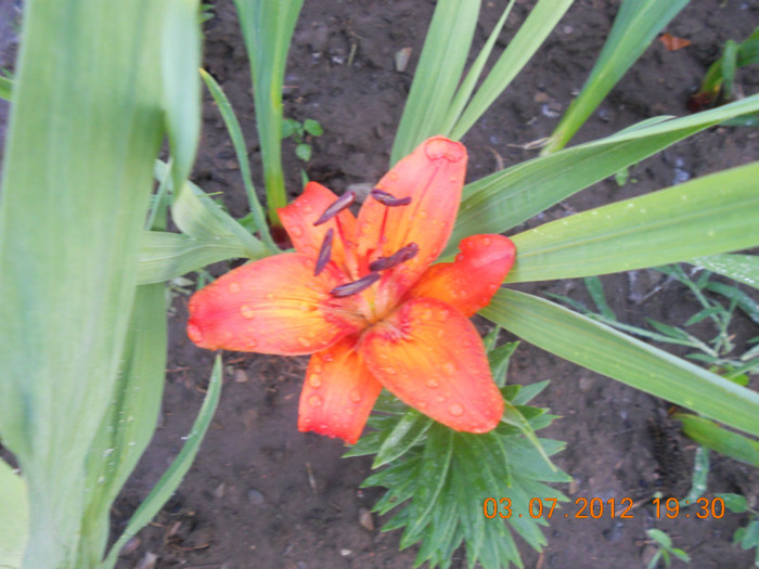 DSCN1579
