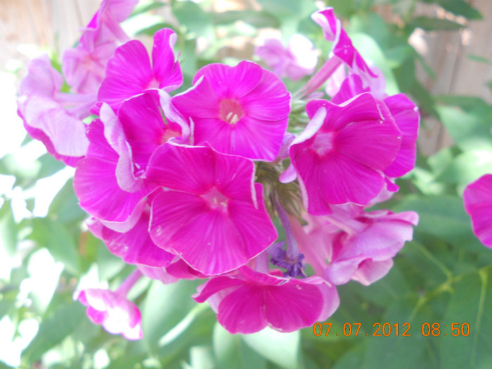 DSCN1598