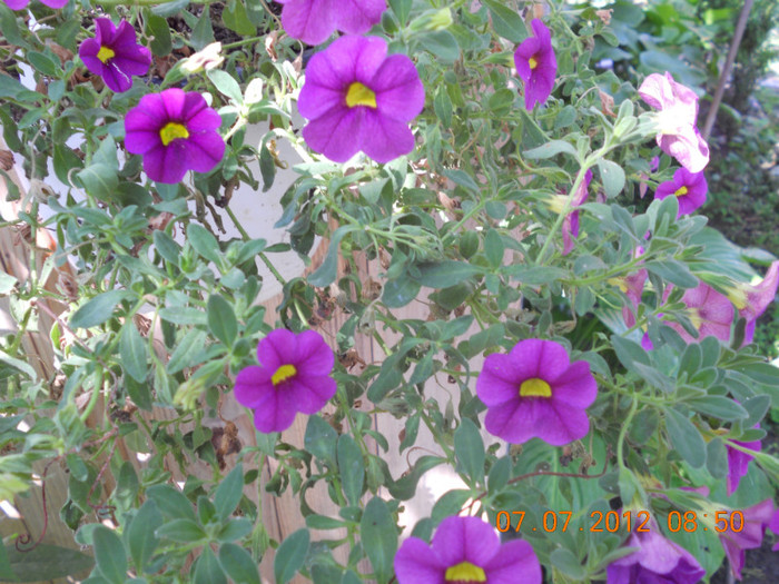 DSCN1599