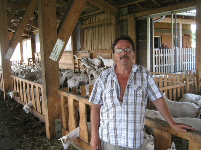 vizitez ferma lui Andreas T - andreas tanzer saane capre