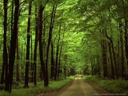 4d32eb837408ad76a37b7ab8414b6fd8_i