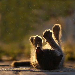 6a14ef7f4cc8946f24aef08747d04ccf_i