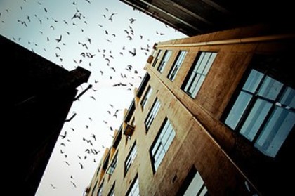 7f6e44a05cc641496059a9de16f4269c_i