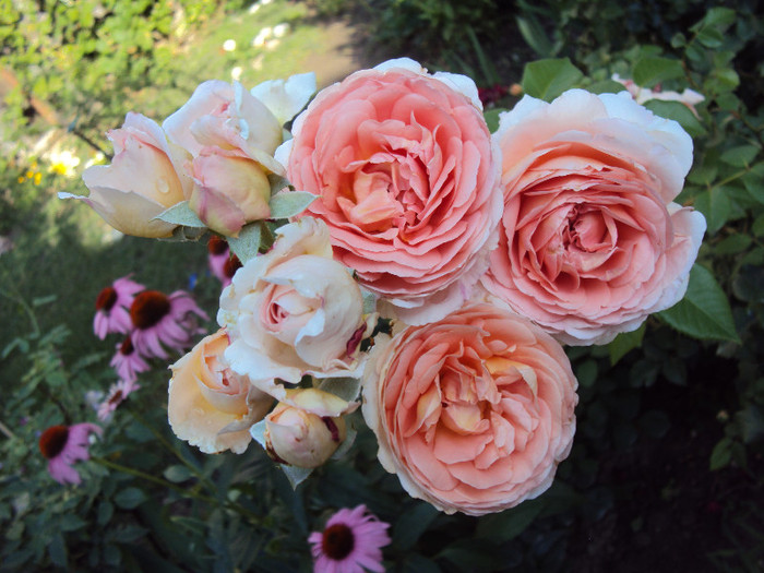 DSC07564 - Abraham Darby