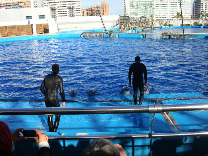 DSC02873 - CALATORIND Valencia-Oceanografic