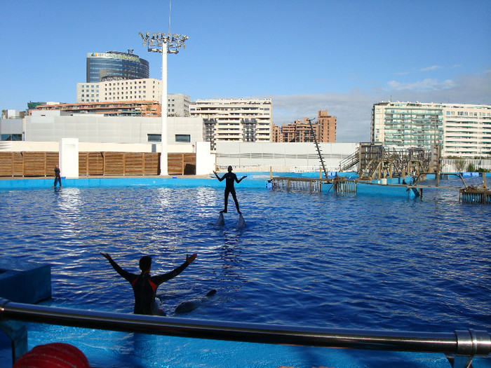 DSC02878 - CALATORIND Valencia-Oceanografic