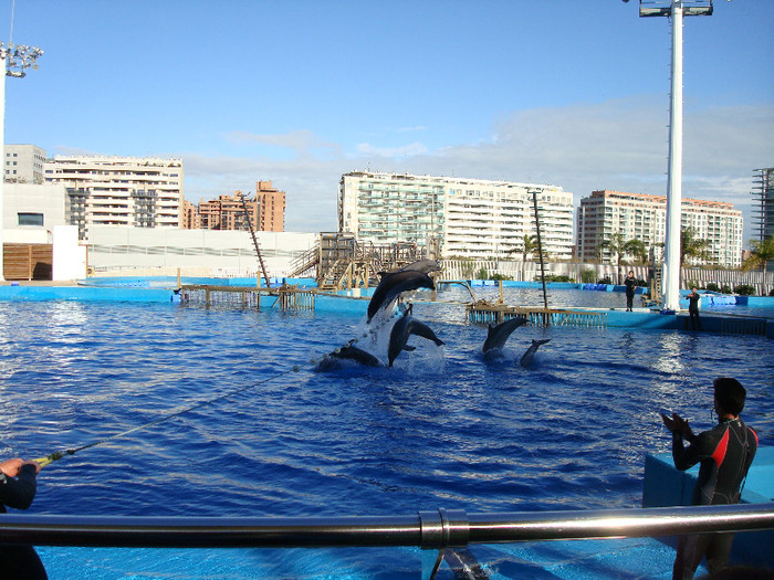 DSC02889 - CALATORIND Valencia-Oceanografic