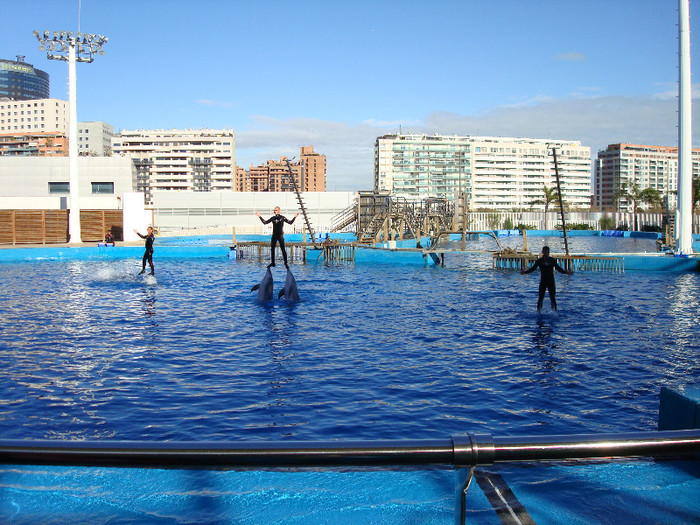 DSC02904 - CALATORIND Valencia-Oceanografic