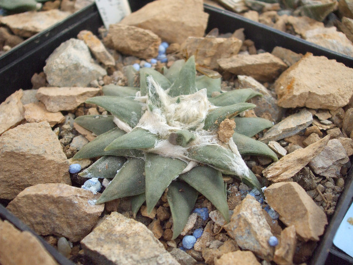 DSCF1572