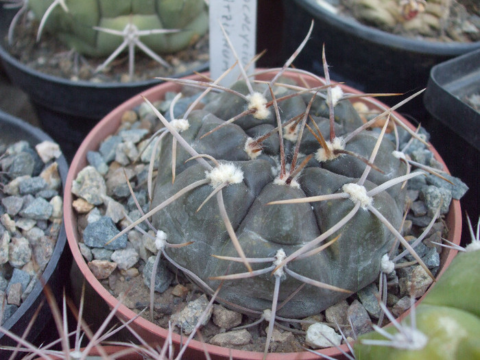 DSCF1614