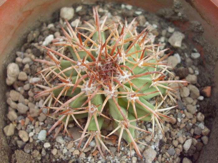 DSCF1642