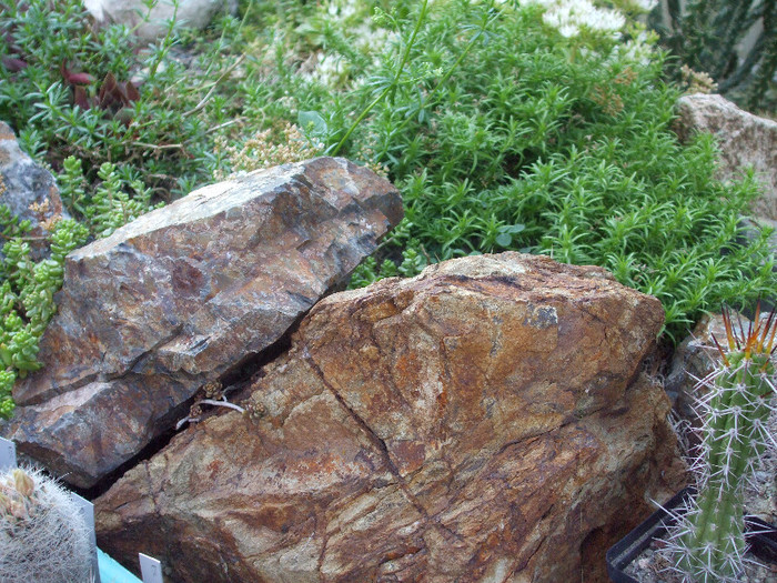 DSCF1763