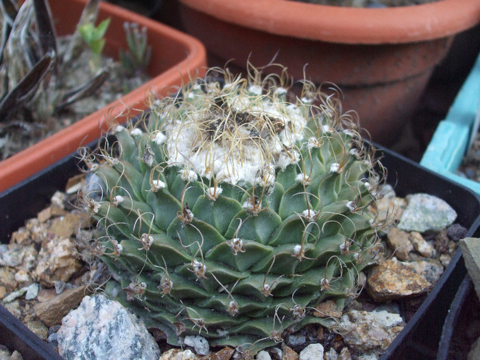 DSCF1766