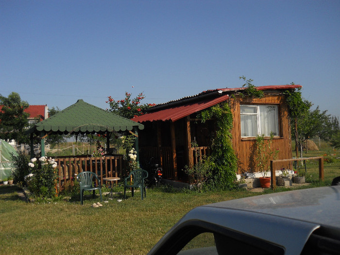 DSCN5558 - iunie-iulie 2012