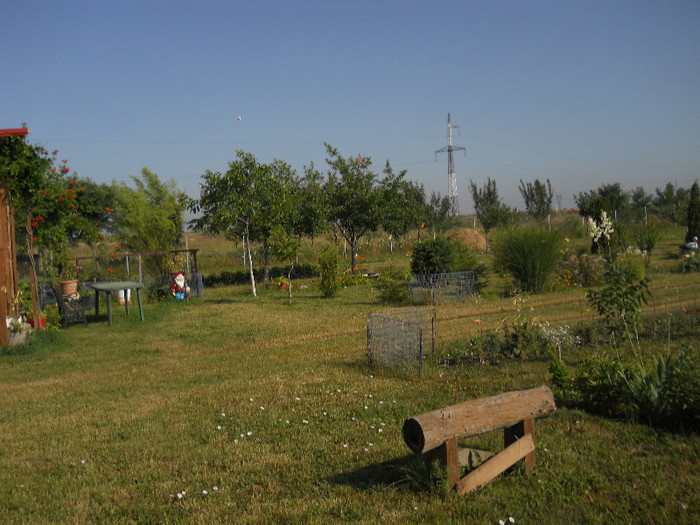 DSCN5561 - iunie-iulie 2012