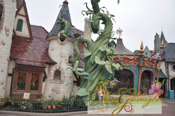 photo_10_13 - Elena Gheorghe