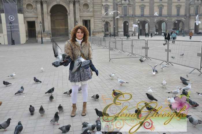 photo_10_19 - Elena Gheorghe