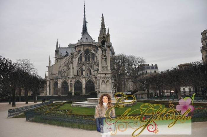 photo_10_21 - Elena Gheorghe