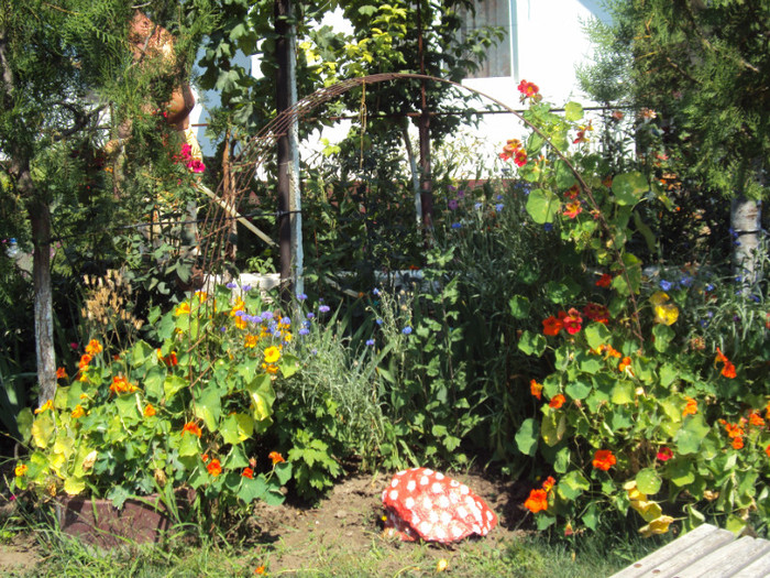 DSC00913
