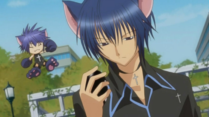 ikuto 81