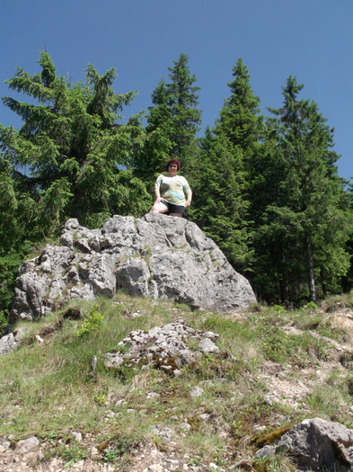 Picture 3933 - VARA IN MUNTI