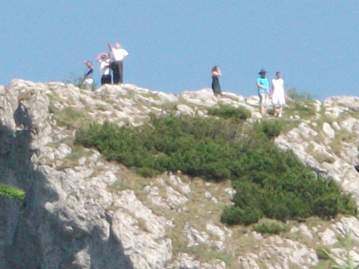 Picture 3937 - VARA IN MUNTI