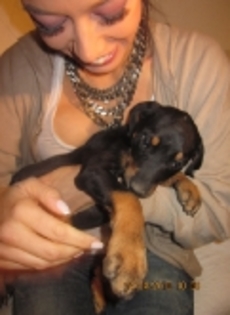 thumbs_img_0563 - Andreea Raicu