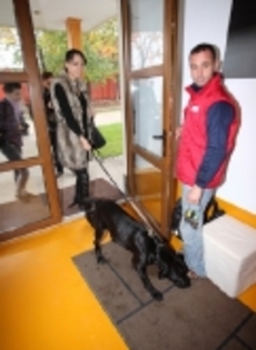 thumbs_pluto-pet-hotel-5_0 - Andreea Raicu