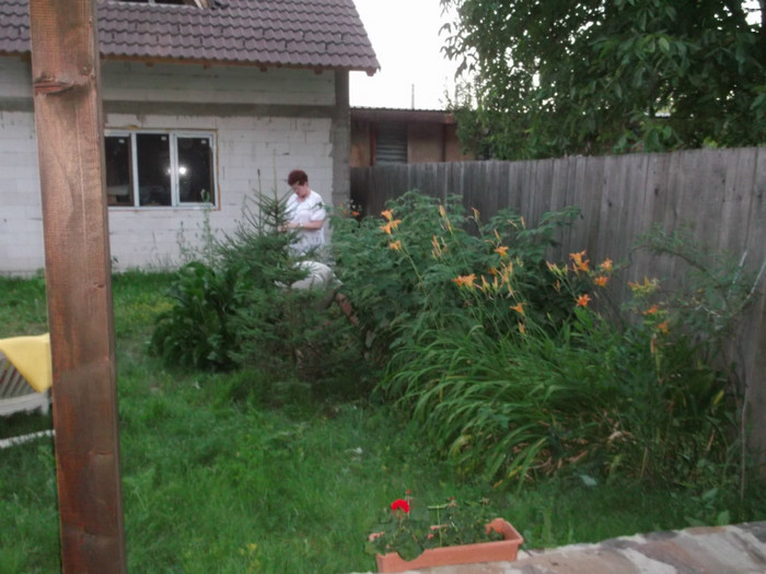 Picture 3975 - ANIVERSARE NIK-PUIUT