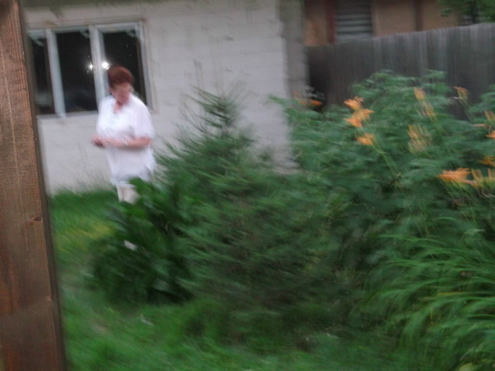 Picture 3977 - ANIVERSARE NIK-PUIUT